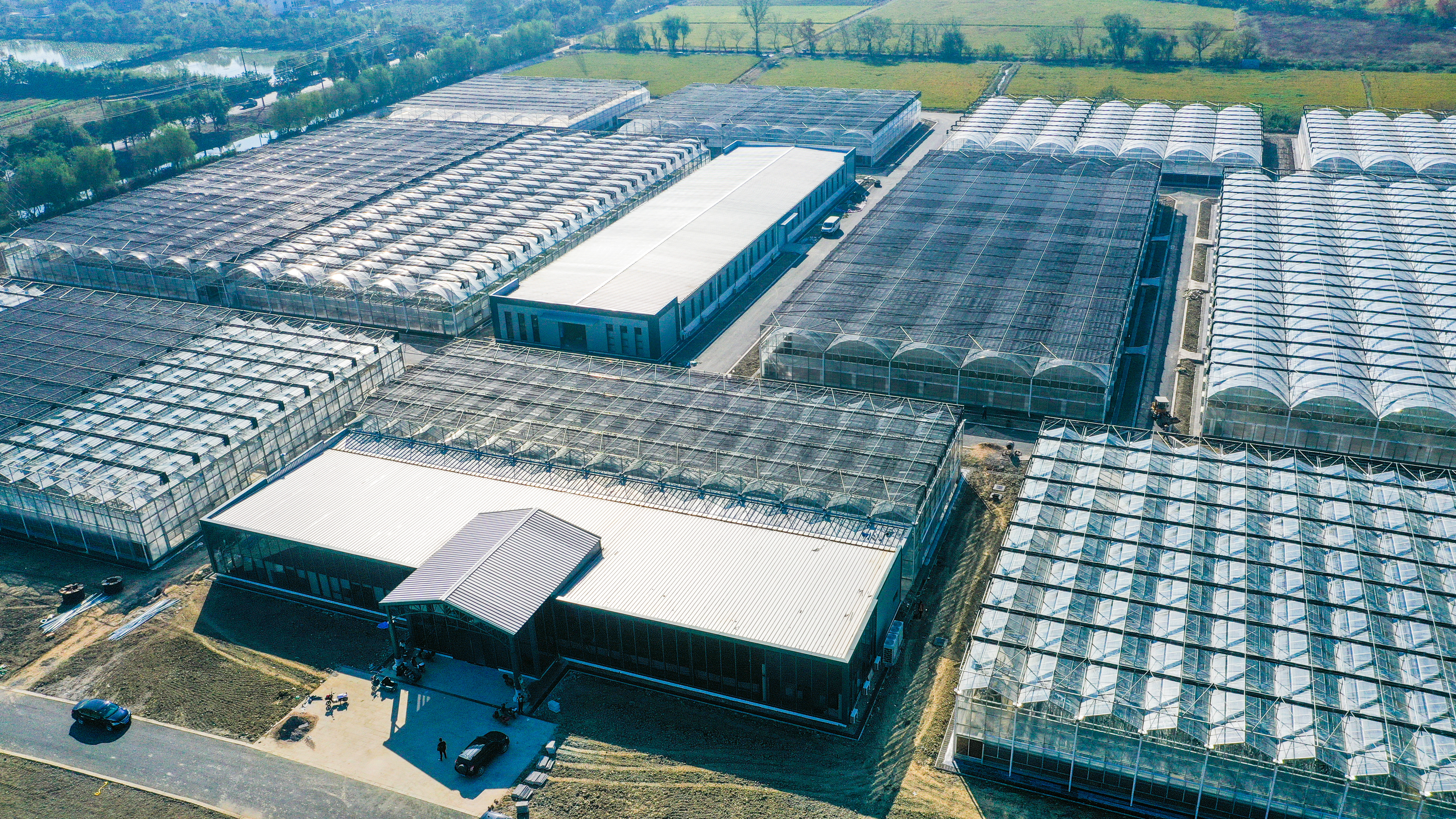 1699854466531948RXMx.jpg 2.jpg